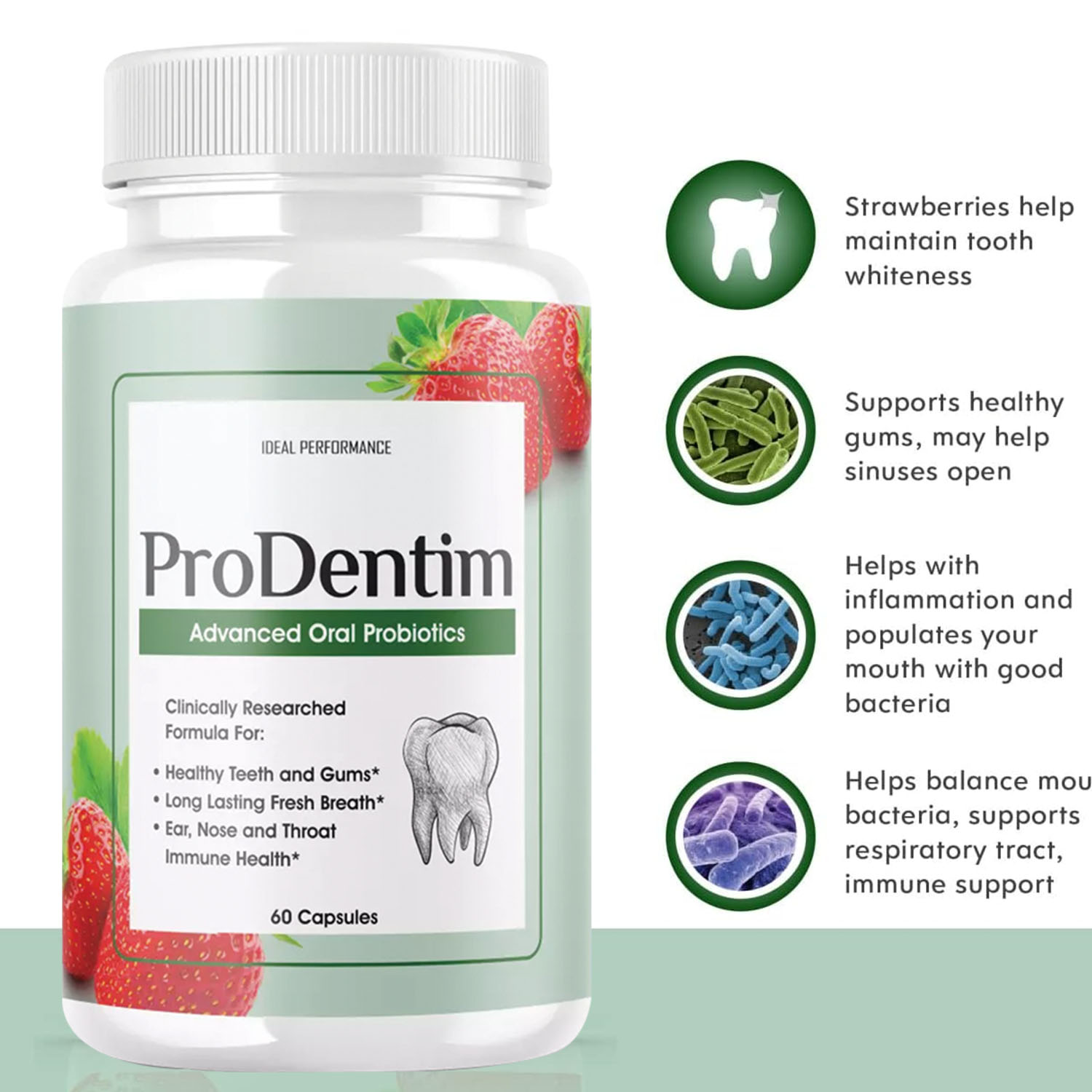 Advanced Oral Probiotics - Fre - Teeth Whitening Enzymes ulasan dan harga