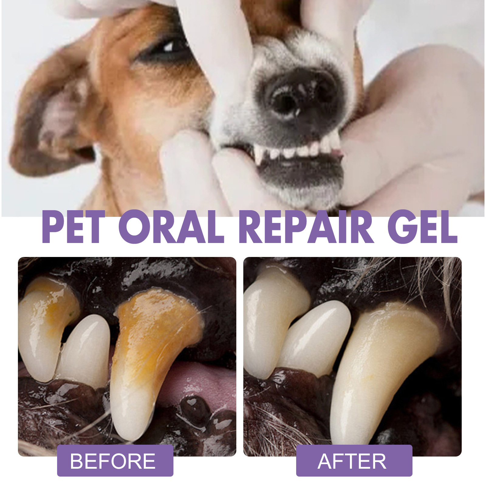 Pet Oral Repair Gel Puppy Tart - Teeth Whitening App ulasan dan harga