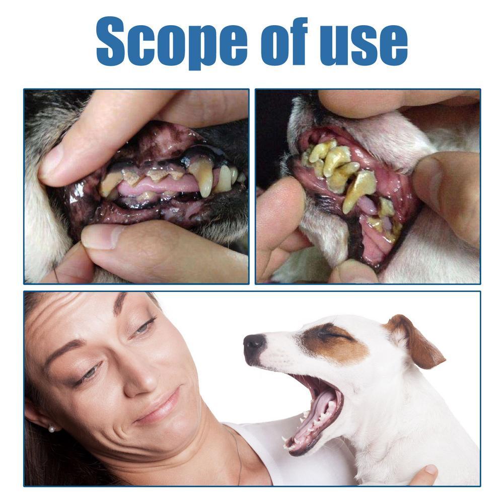 60ml Pet Oral Tartar Remover S - Teeth Whitening Yellow Teeth ulasan dan harga