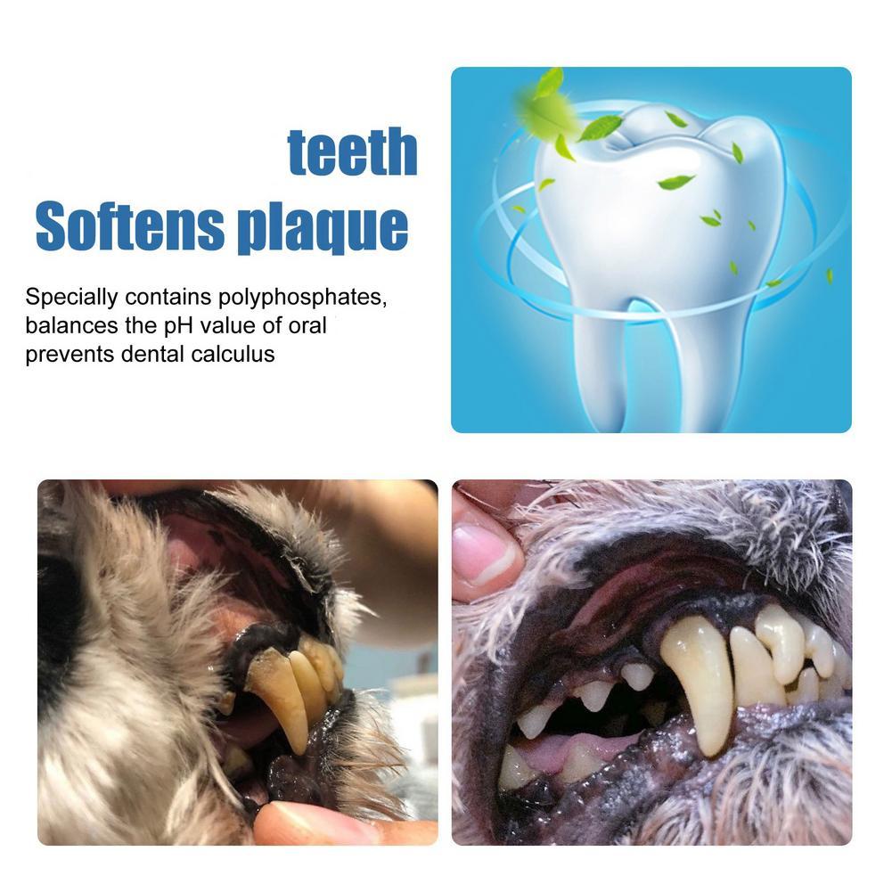 60ml Pet Oral Tartar Remover S - Teeth Whitening Yellow Teeth ulasan dan harga